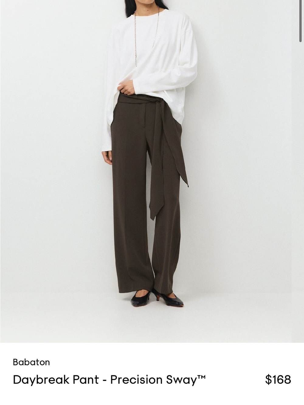 Aritzia Wide-Leg Tie-Waist Pants in Dark Brown